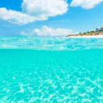 Las Playas con Más Avistamientos de Tiburones del Mundo »