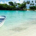 Las 5 marcas de autos con menor costo de seguro en EE.UU. del 2026 »